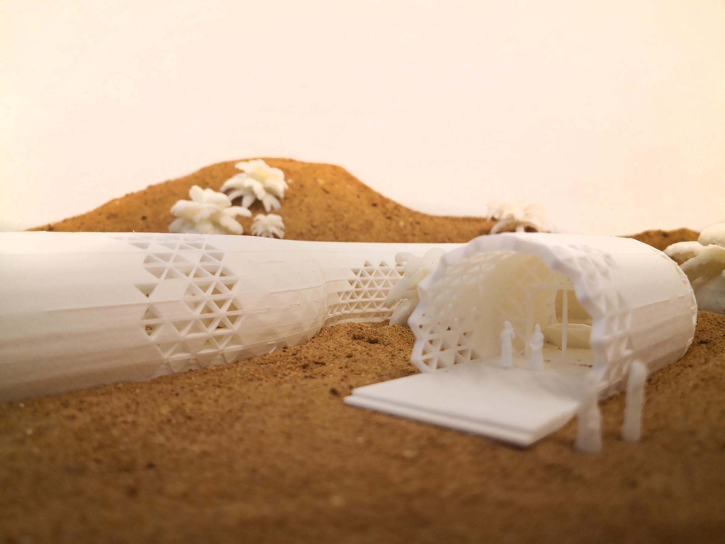 Tourist Information in Al-Ula, Saudi Arabia